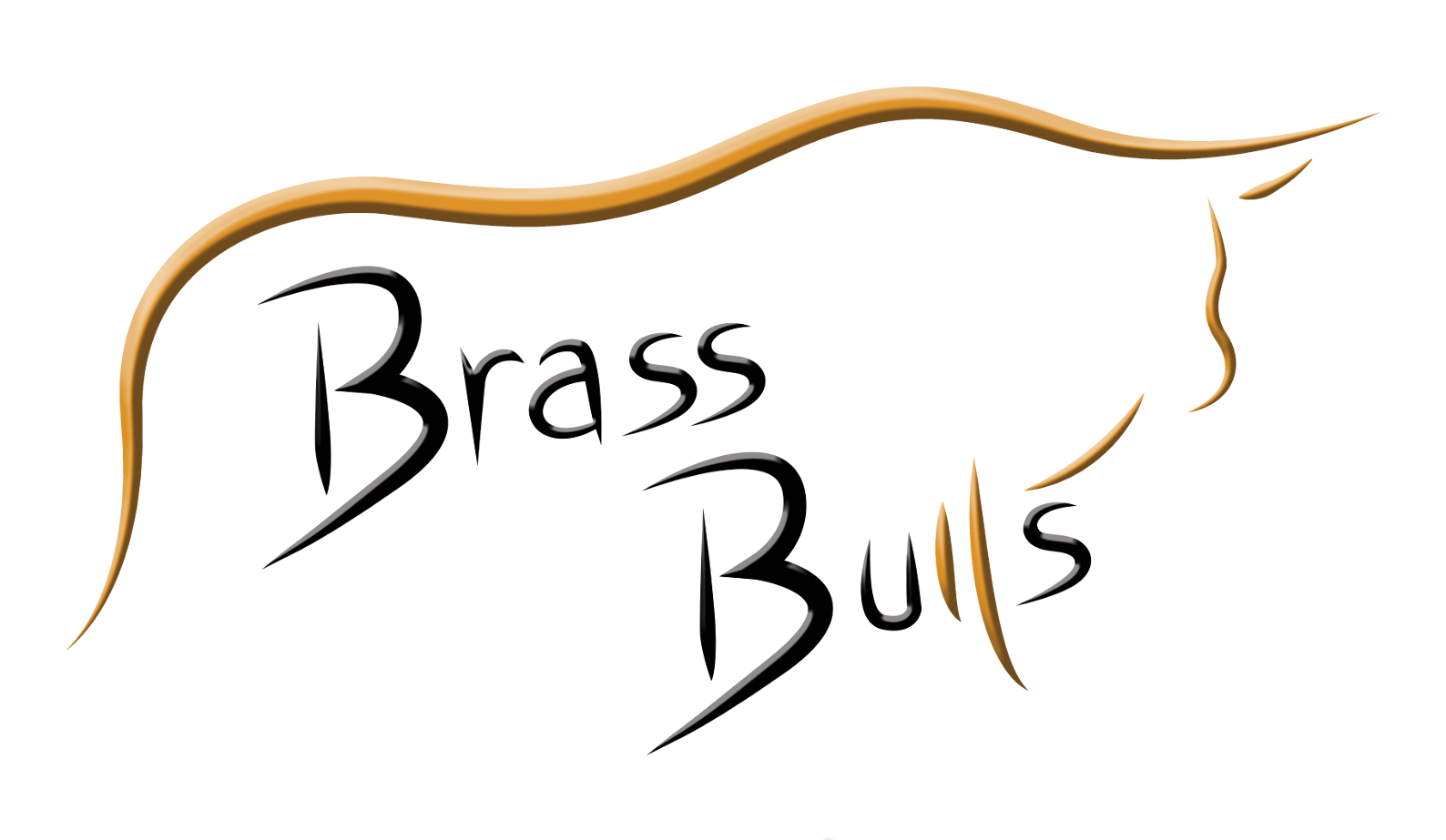 Logo von BrassBulls Band